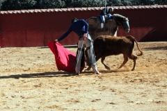 thumb_IMG_6972_1024-2a