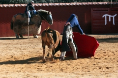 thumb_IMG_6985_1024a