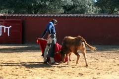 thumb_IMG_6997_1024a